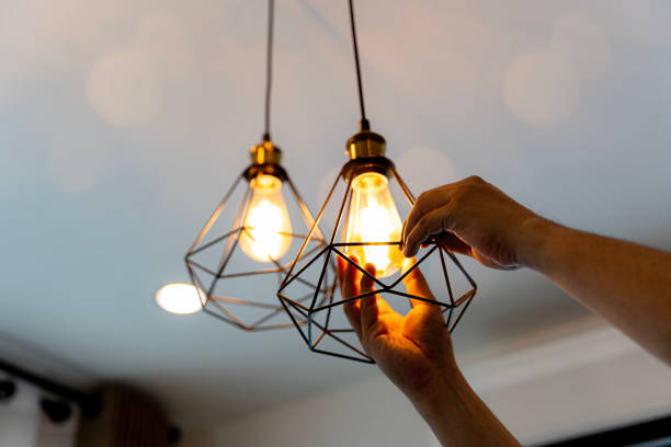 Best Residential Electrician Services  in Caryville, TN